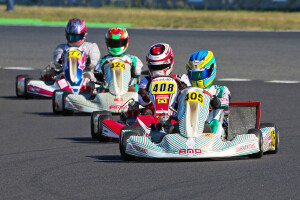 Kacper Nadolski - Shifter Rok