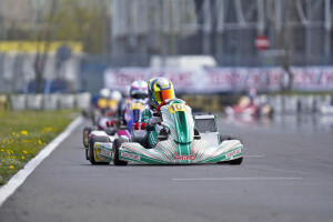 Rok Cup Poland 2/2022 - AMO Racing Team