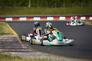 AMO Racing Team - Rok Cup Poland 4/2023 Autodrom Słomczyn